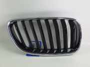 Kühlergrill rechts BMW 2er Coupe (F22, F87) 218i 100 kW 136 PS (03.2015-> ) (ab 03/2015)