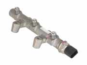 Einspritzleitung VW Amarok (2H) 3.0 TDI 4motion 150 kW 204 PS (06.2016-> ) 059