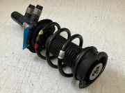 Federbein rechts vorne VW Tayron (R41) 2.0 TDI 4motion 142 kW 193 PS (11.2024-