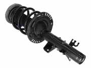 Federbein links rechts vorne Crafter Kasten (SY, SX)