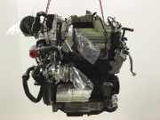 Motor ohne Anbauteile VW Golf VIII (CD) 2.0 TDI 110 kW 150 PS (08.2019-> ) (ab 08/2019)