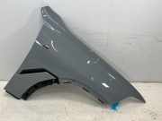 Kotflügel rechts vorne BMW X6 (G06, F96) xDrive 40d Mild-Hybrid 250 kW 340 PS