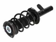 Federbein VW Golf VIII (CD) 1.0 TSI 66 kW 90 PS (02.2020-> ) (ab 02/2020)