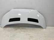 Motorhaube FORD Transit V363 Pritsche/Fahrgestell (FED, FFD) 2.0 TDCi 125 kW 1