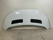 Motorhaube FORD Transit V363 2.0 TDCi 125 kW 1