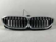 51138072085 Kühlergrill BMW 3er Touring (G21, G81) 320d 140 kW 190 PS (07.2019