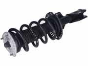 Federbein links rechts vorne VW Crafter Kasten (SY, SX)