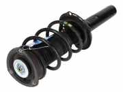 Federbein links rechts vorne VW Tiguan II 2 (AD)