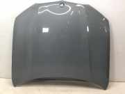 Motorhaube BMW X5 (G05, F95) 50e Plug-in-Hybrid xDrive 360 kW 489 PS (04.2023-