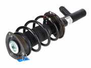 Federbein VW Tiguan I (5N) 2.0 TSI 4motion 132 kW 180 PS (05.2011-07.2018) 5QF