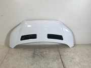 Motorhaube FORD Transit V363 Pritsche/Fahrgestell (FED, FFD) 2.0 TDCi 125 kW 1