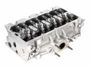 Zylinderkopf VW Tiguan II (AD) 1.4 eHybrid 110 kW 150 PS (11.2020-> )