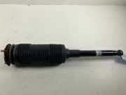 Federbein links hinten MERCEDES-BENZ S-Klasse (W222) S600 Maybach 390 kW 530 P