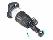 Federbein links hinten BMW X6 (G06, F96) xDrive 40d Mild-Hybrid 250 kW 340 PS