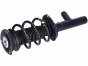 Federbein vorne links rechts VW Tiguan II (AD) Elektronisch