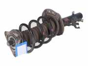 Federbein links vorne RENAULT Kadjar (HA, HL) 1.6 dCi 130 4x4 96 kW 131 PS (06.2015-> ) (ab 06/2015)