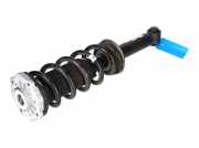 Federbein links hinten BMW X3 (G01, F97) xDrive 20i 135 kW 184 PS (12.2017-> ) (ab 12/2017)