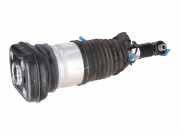 Federbein links hinten BMW X6 (G06, F96) xDrive 40d Mild-Hybrid 250 kW 340 PS