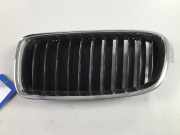 Kühlergrill links BMW 3er (F30, F80) 320d 120 kW 163 PS (04.2011-10.2018) (04/2011-10/2018)