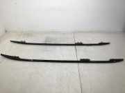 Dachreling BMW X7 (G07) xDrive M60i Mild-Hybrid 390 kW 530 PS (07.2022-> ) 809