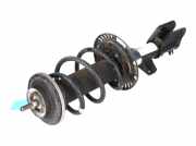 Federbein links vorne VW Transporter T7 Multivan 2.0 TDI 110 kW 150 PS (10.202