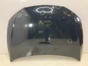 Motorhaube SEAT Leon (5F) 1.4 TGI 81 kW 110 PS (02.2013-> ) (ab 02/2013)