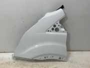 Kotflügel links vorne FORD Transit V363 Pritsche/Fahrgestell (FED, FFD) 2.0 TDCi