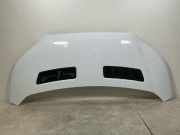 Motorhaube FORD Transit V363 2.0 TDCi 96 kW 13