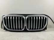 Kühlergrill BMW X5 (G05, F95) 50e Plug-in-Hybrid xDrive 360 kW 489 PS (04.2023