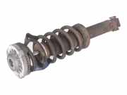 Federbein links hinten BMW X3 (F25) xDrive 20d 135 kW 184 PS (09.2010-03.2014) (09/2010-03/2014)