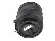 Federbein VW Touareg III (CR7) 3.0 TDI 4motion 170 kW 231 PS (05.2018-> ) 4M46