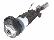Federbein links vorne BMW X6 (G06, F96) xDrive 40i Mild-Hybrid 280 kW 381 PS (