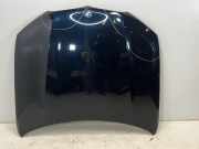 Motorhaube BMW X5 (G05, F95) xDrive 40d Mild-Hybrid 250 kW 340 PS (05.2020-> )