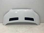 Motorhaube FORD Transit V363 Pritsche/Fahrgestell (FED, FFD) 2.0 TDCi 96 kW 130 PS (03.2016-> ) (ab 03/2016)