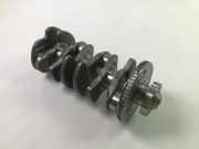 Kurbelwelle VW Tiguan II (AD) 2.0 TDI 4motion 147 kW 200 PS (06.2020-> ) 06L10