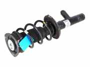 Federbein VW Passat B8 (3G) 2.0 TDI 110 kW 150 PS (11.2014-> ) 3Q0413032A