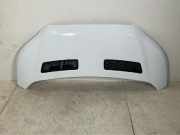 Motorhaube FORD Transit V363 2.0 TDCi 125 kW 1