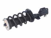 Federbein links vorne VW Crafter Fahrgestell (SZ) 2.0 TDI 75 kW 102 PS (11.201