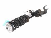 Federbein links vorne BMW X6 (G06, F96) xDrive 40i 250 kW 340 PS (08.2019-> )