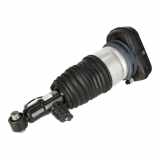 Federbein links hinten BMW X5 (G05, F95) xDrive 40d Mild-Hybrid 250 kW 340 PS (05.2020-> ) (ab 05/2020)