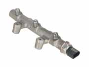 Einspritzleitung VW Amarok (2H) 3.0 TDI 4motion 150 kW 204 PS (06.2016-> ) 059