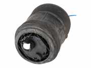 Federbein VW Touareg III (CR7) 3.0 TDI 4motion 170 kW 231 PS (05.2018-> ) 4M46