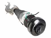 Federbein VW Touareg III (CR7) 3.0 TSI 4motion 250 kW 340 PS (03.2018-> ) 4M46