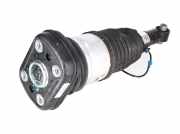 Federbein rechts hinten BMW X5 (G05, F95) 50e Plug-in-Hybrid xDrive 360 kW 489 PS (04.2023-> ) (ab 04/2023)