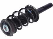 Federbein links rechts vorne VW Golf VII (5G)