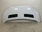 Motorhaube FORD Transit V363 2.0 TDCi 125 kW 1