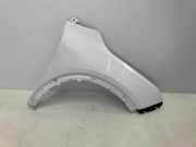 Kotflügel rechts vorne HYUNDAI Nexo FCEV 120 kW 163 PS (03.2018-> ) 66320-M500