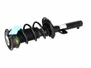 Federbein VW Polo VI (AW) 1.0 48 kW 65 PS (08.2017-> ) (ab 08/2017)