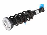 Federbein links hinten BMW X4 (G02, F98) xDrive 20d 140 kW 190 PS (04.2018-> )