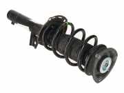 Federbein links rechts vorne VW Tiguan II 2 (AD)